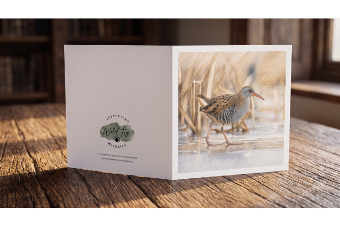 Water Rail Greeting Card